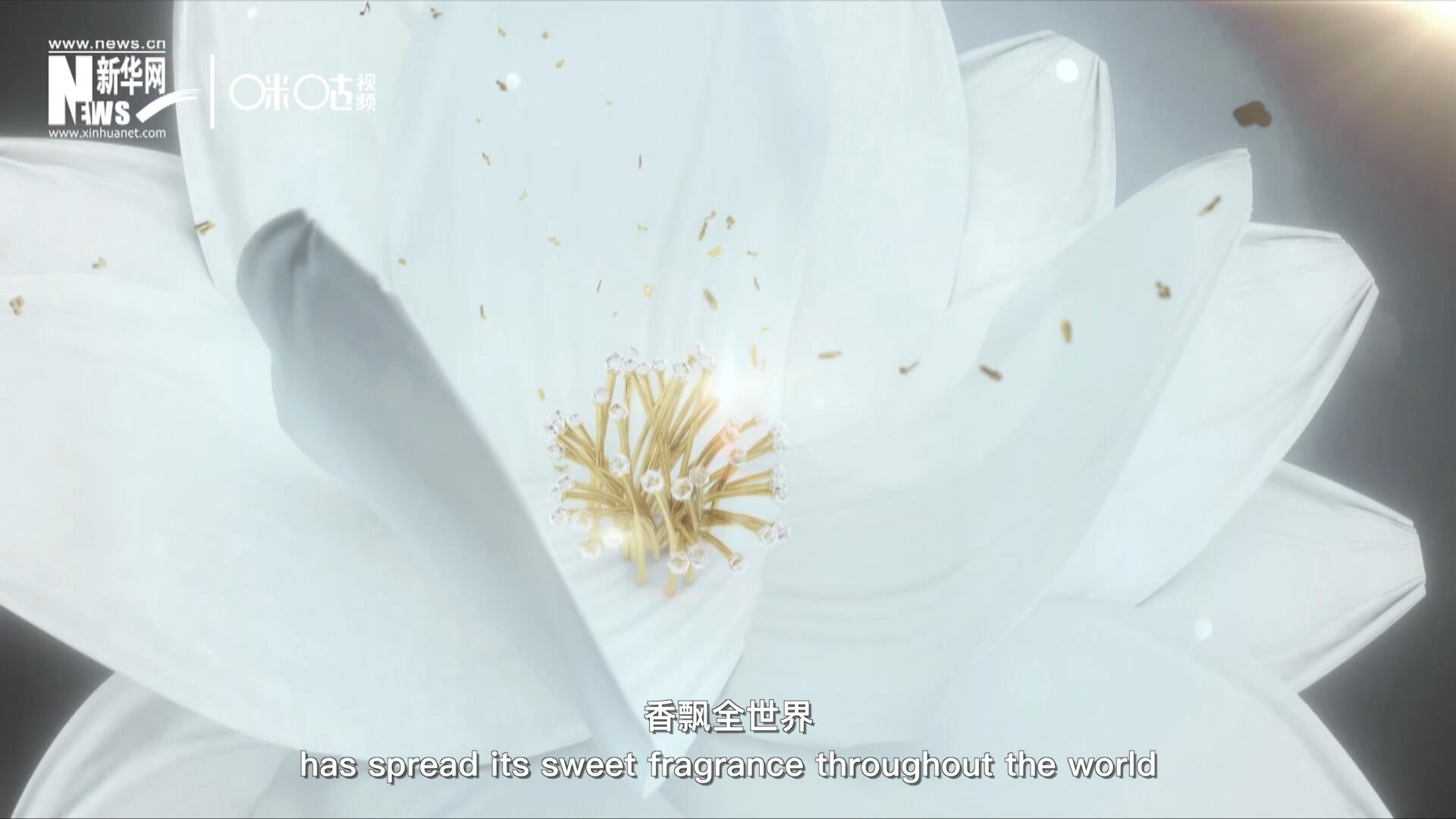 一朵茉莉花，香飄全世界。這首充滿民族特色的經(jīng)典旋律，在世界范圍內(nèi)廣為流傳，是極具辨識度的東方音樂符號。