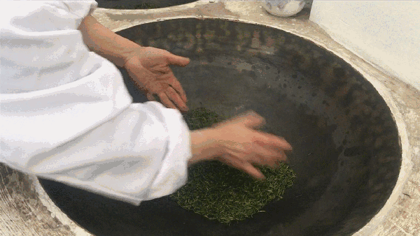 申遺，把雨花茶手藝傳承下去