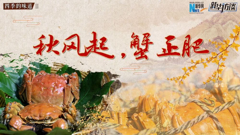 秋風(fēng)起，蟹正肥