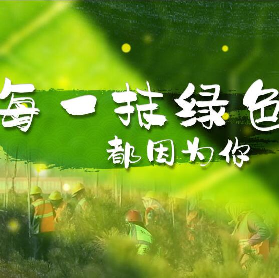 千年秀林，每一抹綠色都因為你