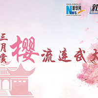 三月賞櫻，流連武大