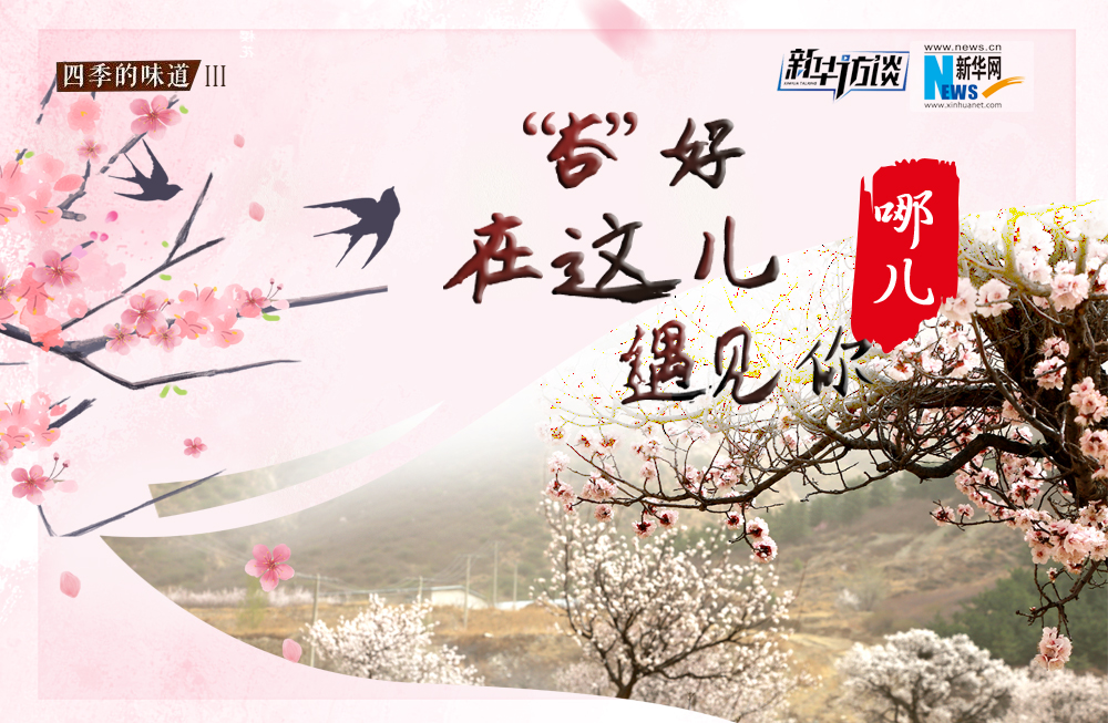 哪兒？&ldquo;杏&rdquo;好在這兒遇見(jiàn)你！