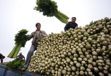 劉永富：發(fā)展產(chǎn)業(yè)脫貧仍是精準(zhǔn)扶貧、精準(zhǔn)脫貧主攻方向