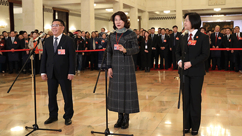 十三屆全國人大二次會議第二場&ldquo;代表通道&rdquo;