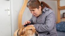 &ldquo;有你在身旁，真好&rdquo;