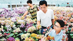 臺(tái)商眼中的改革開(kāi)放：風(fēng)景這邊獨(dú)好 要去，要去，要去！