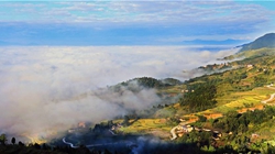 臺(tái)胞臺(tái)商熱議陜西惠臺(tái)&ldquo;60條&rdquo;：期盼落實(shí)、共享機(jī)遇