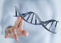 小細(xì)胞肺癌需要做基因檢測(cè)嗎？