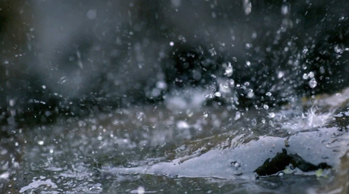 城市內(nèi)澇暴雨避險指南來了！