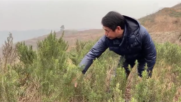 新春走基層｜脫貧后，駐村扶貧隊長在干啥？