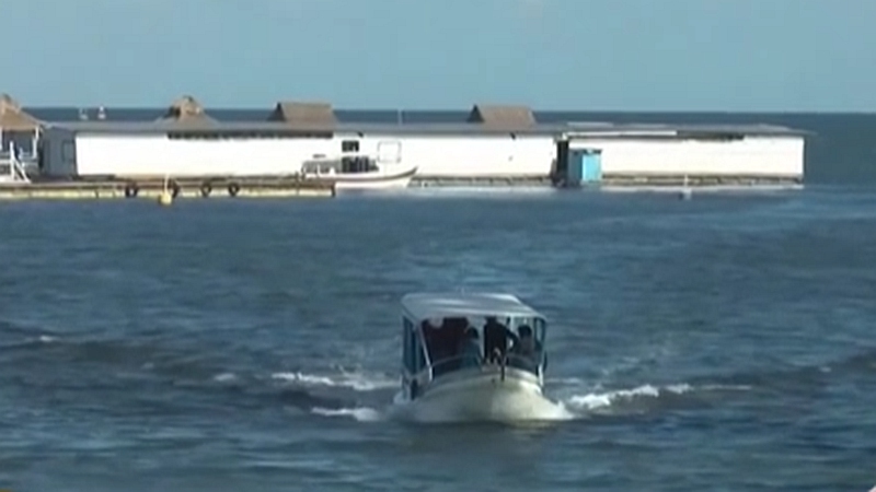 整頓！ 非法營(yíng)業(yè) 印尼巴厘島解救七只寬吻海豚