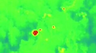 云南野生象群的奇幻之旅：紅外監(jiān)測&mdash;&mdash;夕陽鄉(xiāng)大雨 象群抱團取暖