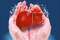 【健康解碼】轉(zhuǎn)氨酶正常肝臟就一定正常嗎？