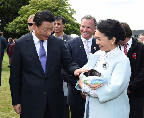 11月18日，國家主席習近平在澳大利亞塔斯馬尼亞州與朗塞斯頓市斯科奇－歐克伯恩小學的小學生共同植樹。這是習近平和夫人彭麗媛植樹后撫摸袋獾。新華社記者 馬占成 攝