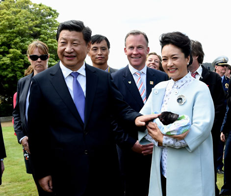 11月18日，國家主席習近平在澳大利亞塔斯馬尼亞州與朗塞斯頓市斯科奇－歐克伯恩小學的小學生共同植樹。這是習近平和夫人彭麗媛植樹后撫摸袋獾。新華社記者 饒愛民 攝