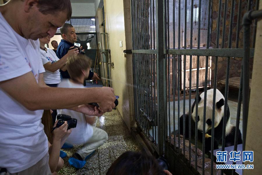 （晚報）（2）&ldquo;歐洲熊貓粉絲四川探親之旅&rdquo;自駕團抵達(dá)成都