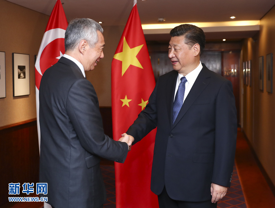 7月6日，國家主席習(xí)近平在漢堡會(huì)見新加坡總理李顯龍。 新華社記者謝環(huán)馳 攝