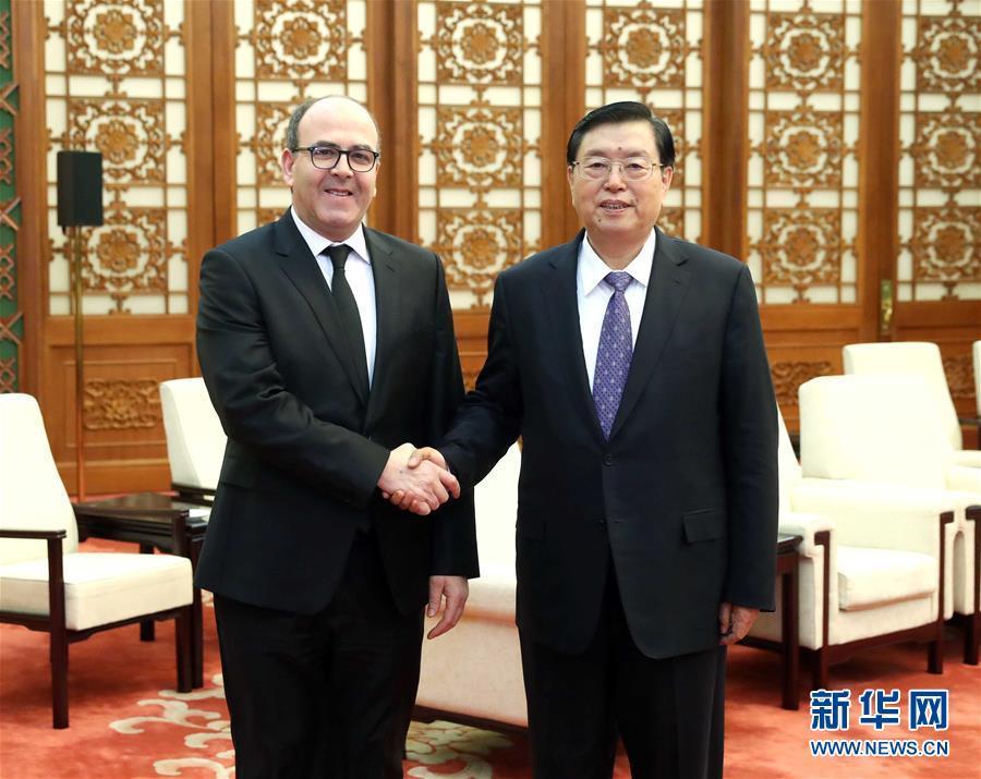 12月20日，全國人大常委會委員長張德江在北京人民大會堂會見摩洛哥參議長本希馬。新華社記者劉衛(wèi)兵攝