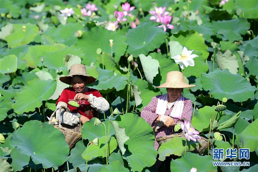 （新華全媒頭條&middot;圖文互動(dòng)）（5）高溫&ldquo;烤&rdquo;驗(yàn)四大洲 熱&ldquo;火&rdquo;還要燒多久