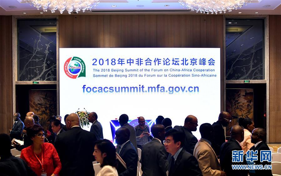 （中非合作論壇&middot;圖文互動(dòng)）（2）共筑繁榮發(fā)展的未來之橋&mdash;&mdash;中非合作論壇北京峰會(huì)前瞻