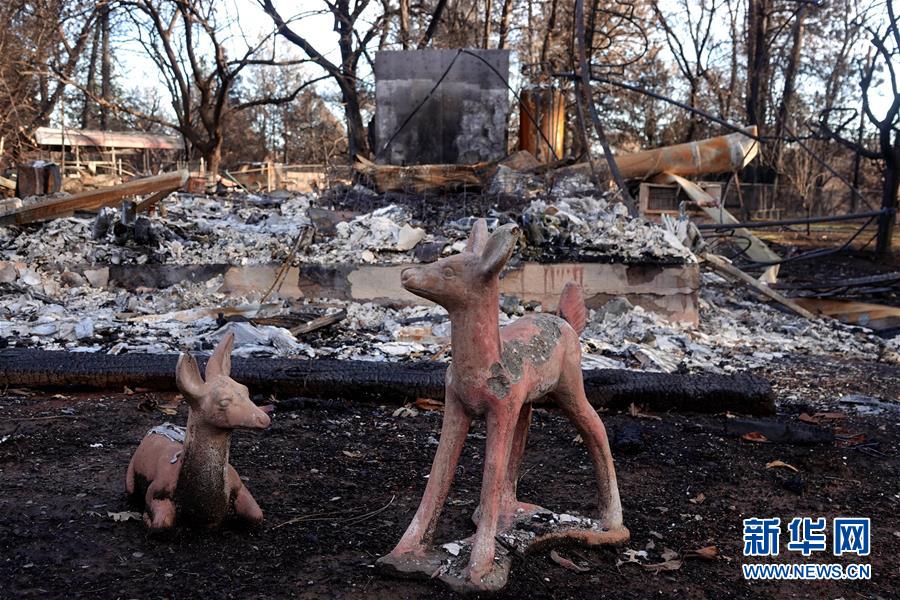 （國(guó)際&middot;圖文互動(dòng)）（6）一場(chǎng)山火，讓這個(gè)冬天格外冷&mdash;&mdash;探訪美國(guó)加州山火災(zāi)區(qū)