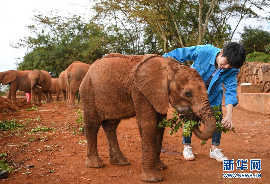 （國(guó)際&middot;圖文互動(dòng)）（2）專訪：環(huán)保要以身作則 從身邊小事做起&mdash;&mdash;訪聯(lián)合國(guó)環(huán)境署親善大使王俊凱