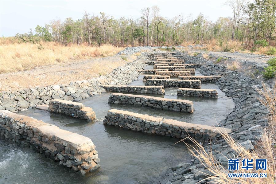 （國際&middot;&ldquo;一帶一路&rdquo;高峰論壇&middot;圖文互動(dòng)）（2）通訊：為魚兒保障回家的路&mdash;&mdash;中國水電工程助力柬埔寨綠色發(fā)展