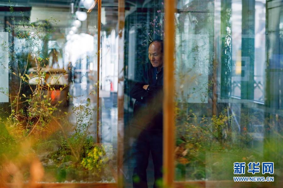 （國際&middot;圖文互動(dòng)）（4）通訊：敲響半島和平鐘聲&mdash;&mdash;走訪韓朝非軍事區(qū)首爾藝術(shù)展