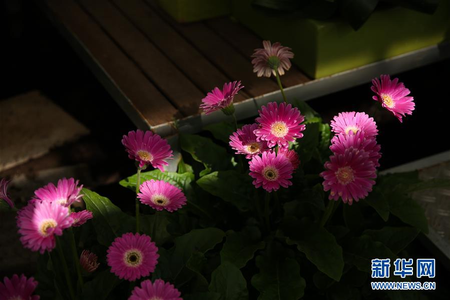 （國(guó)際&middot;北京世園會(huì)）（19）世界園林巡禮&mdash;&mdash;比利時(shí)拜加登城堡