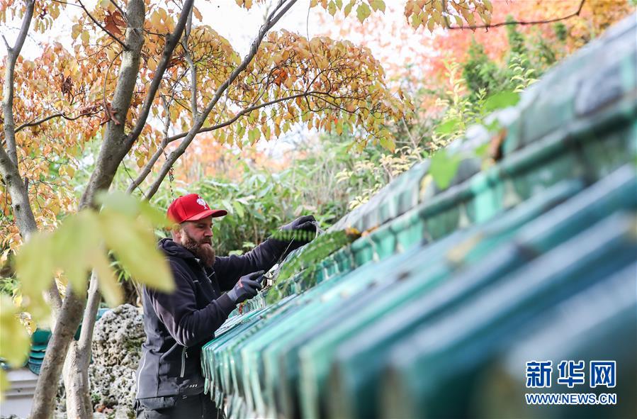 (國際·圖文互動)(1)通訊:守護魯爾河畔中國園林的德國志愿者