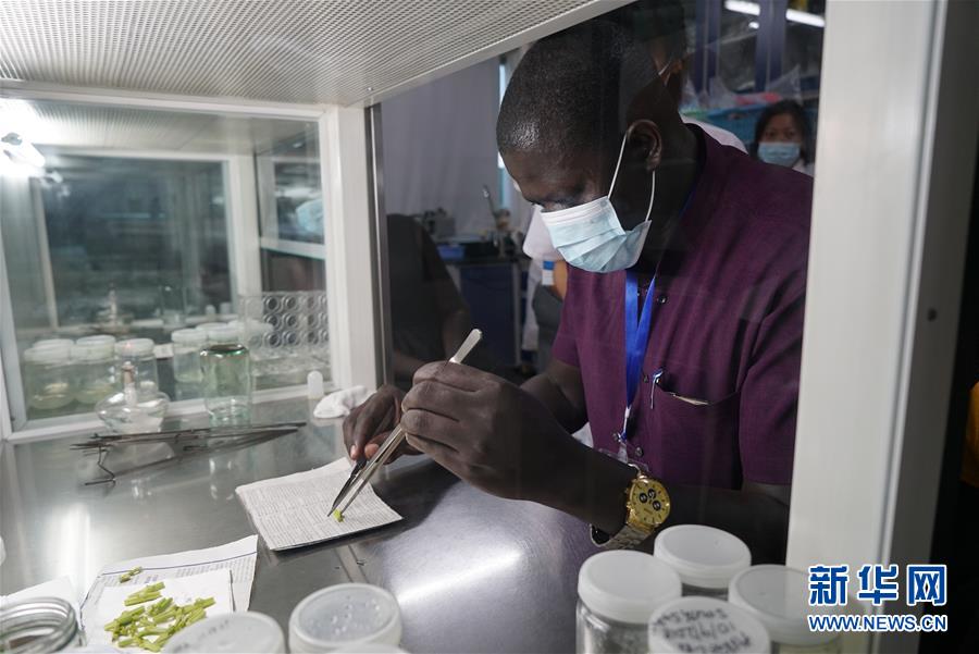 （在習(xí)近平新時(shí)代中國(guó)特色社會(huì)主義思想指引下&mdash;&mdash;新時(shí)代新作為新篇章&middot;總書(shū)記關(guān)切開(kāi)放事&middot;圖文互動(dòng)）（8）來(lái)中國(guó)&ldquo;學(xué)種地&rdquo;的&ldquo;洋學(xué)生&rdquo;