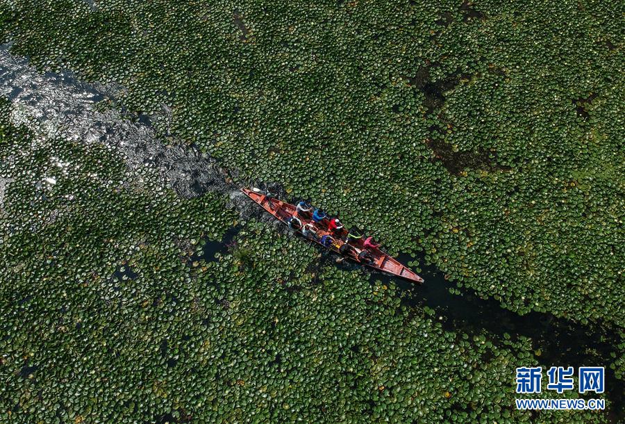 （國際&middot;年終報(bào)道）（8）2019，精&ldquo;彩&rdquo;紛呈