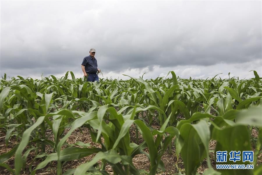 (國(guó)際·圖文互動(dòng))(3)通訊:貿(mào)易戰(zhàn)凸顯美國(guó)農(nóng)業(yè)發(fā)展隱憂