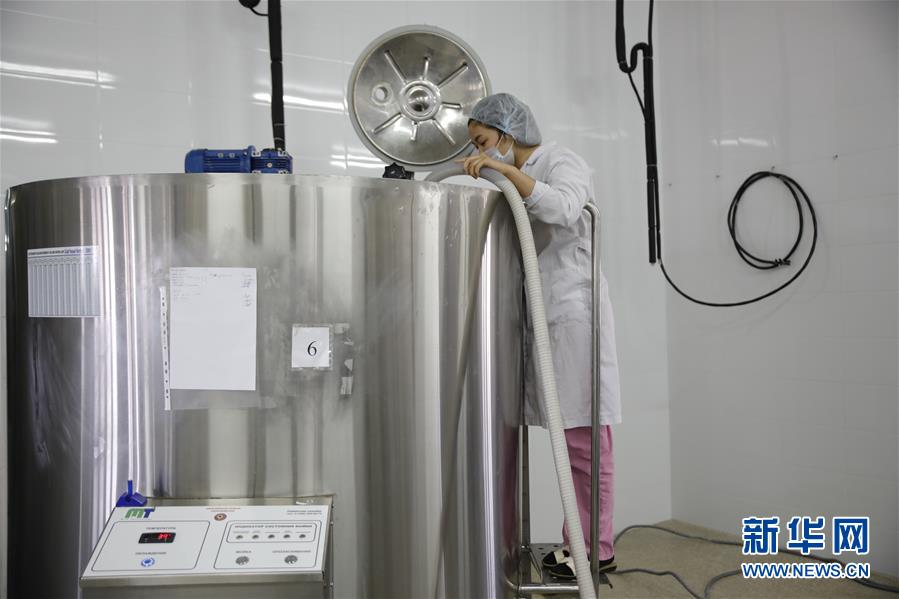 （國際&middot;圖文互動）（4）從&ldquo;先遣隊&rdquo;到&ldquo;正規(guī)軍&rdquo;&mdash;&mdash;哈薩克斯坦駱駝奶粉入華記