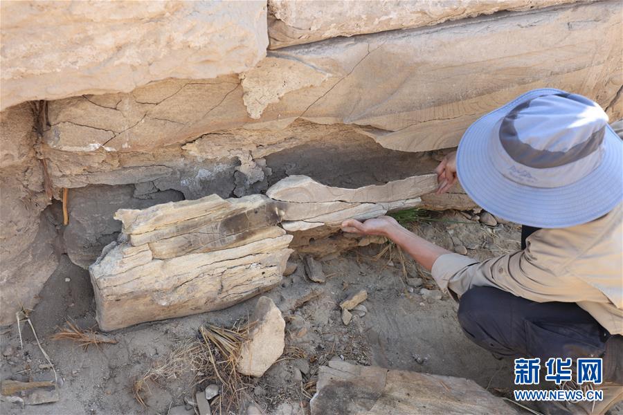 （國際&middot;圖文互動(dòng)）（8）疫中考古&mdash;&mdash;中國與埃及首次聯(lián)合考古取得階段性成果