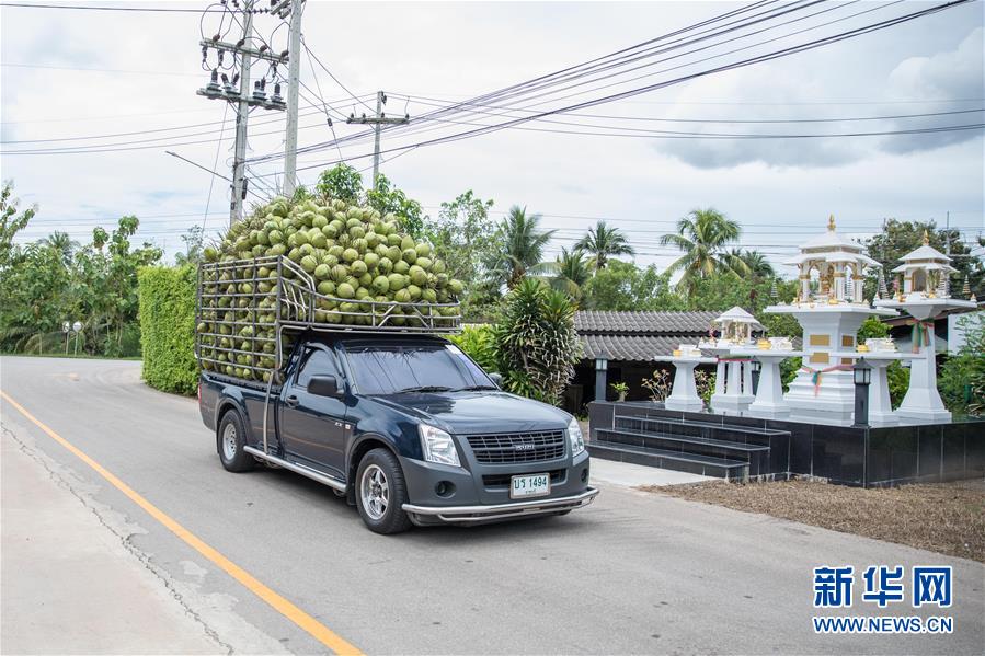 （第三屆進(jìn)博會(huì)&middot;圖文互動(dòng)）（1）通訊：椰香飄進(jìn)進(jìn)博會(huì) 市場開放共繁榮&mdash;&mdash;一名泰國椰商的心聲