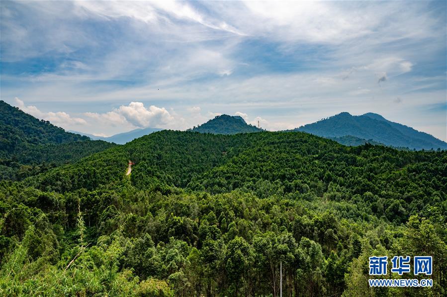 (第三屆進(jìn)博會(huì)·圖文互動(dòng))(2)專訪:進(jìn)博會(huì)提供了一個(gè)共享中國(guó)發(fā)展機(jī)遇的平臺(tái)