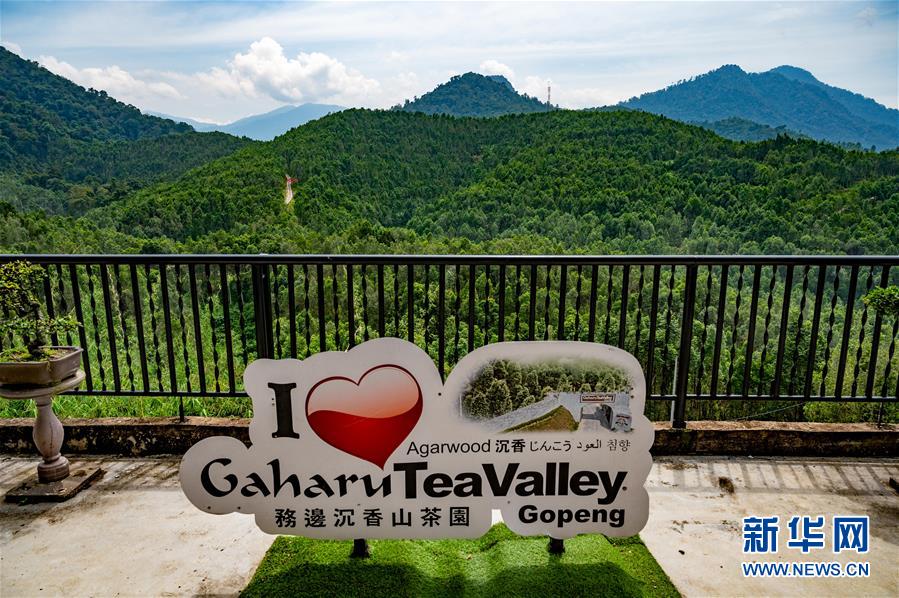 (第三屆進(jìn)博會(huì)·圖文互動(dòng))(11)專訪:進(jìn)博會(huì)提供了一個(gè)共享中國(guó)發(fā)展機(jī)遇的平臺(tái)