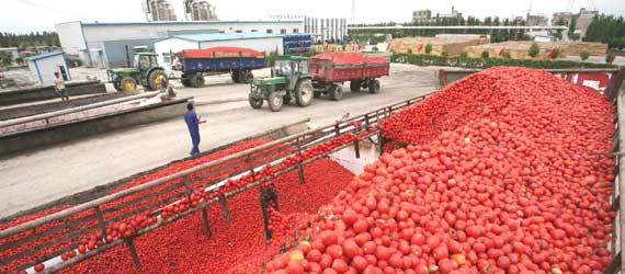 中國(guó)推動(dòng)構(gòu)建共贏、互信、發(fā)展的新絲綢之路