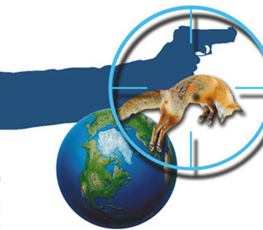 中國全球&ldquo;獵狐&rdquo;戰(zhàn)果豐碩！