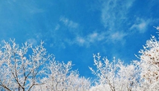 湖北?？蹈呱届F凇美如畫