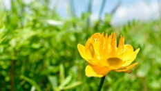 &ldquo;最美鄉(xiāng)村&rdquo;腦干寶力格嘎查 來(lái)自草原的明信片