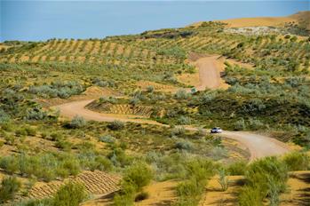 沙海綠洲好休憩&mdash;&mdash;庫(kù)布其激活&ldquo;美麗經(jīng)濟(jì)&rdquo;