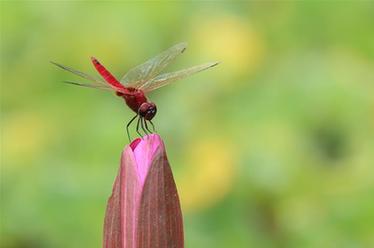 2019，精&ldquo;彩&rdquo;紛呈