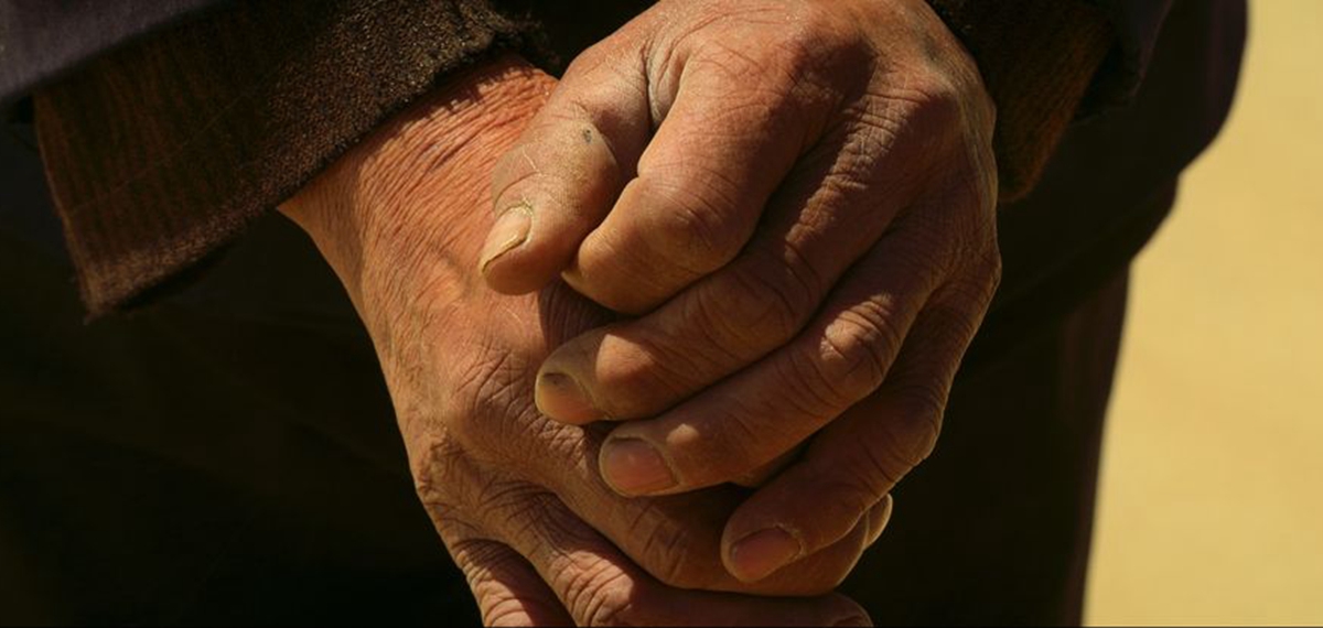 正式發(fā)布！《攜手，為人民》中國共產黨與世界政黨領導人峰會暖場片