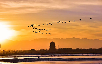 你想看的風(fēng)景，這里都有