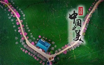 江山如畫(huà)，想把春的故事講給你聽(tīng)