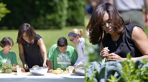 自己動手 與第一夫人野餐